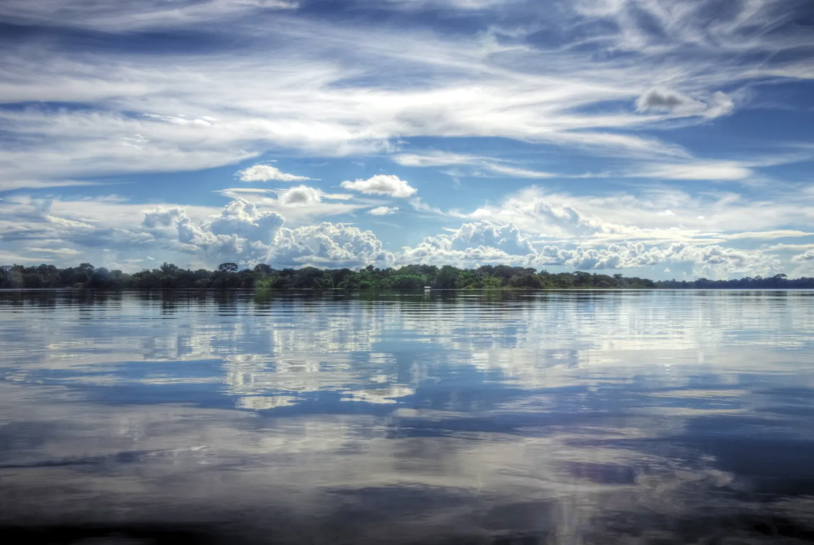 The Amazon. Photo credit: Mariusz Kluzniak (Flickr) 