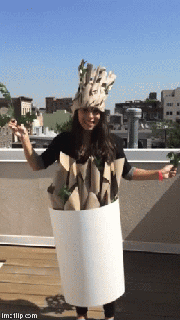 https://www.bustle.com/articles/37602-our-baby-groot-halloween-costume-diy-instructions-will-make-you-the-liveliest-part-of-your-party