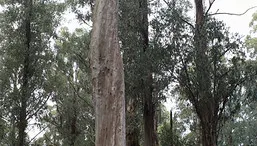6998562080_961c1b85b4_z.jpg