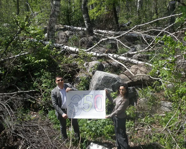 Forest pulled up by hurricane in Kazakhstan