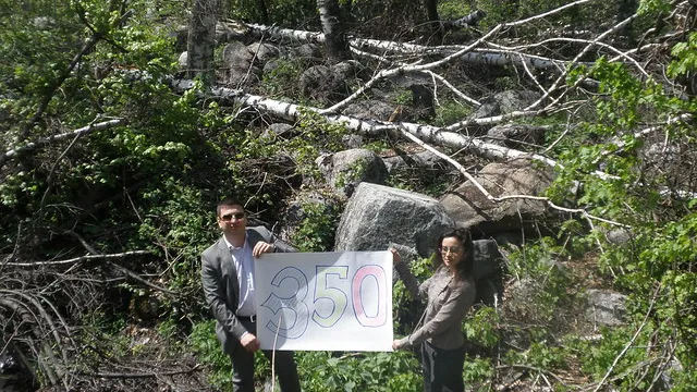 Forest pulled up by hurricane in Kazakhstan