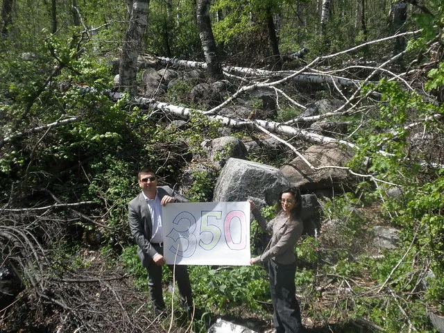 Forest pulled up by hurricane in Kazakhstan