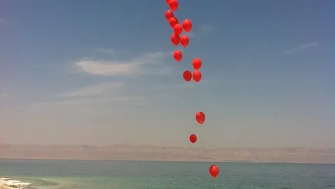 7144788187_13b9d7554f_z.jpg