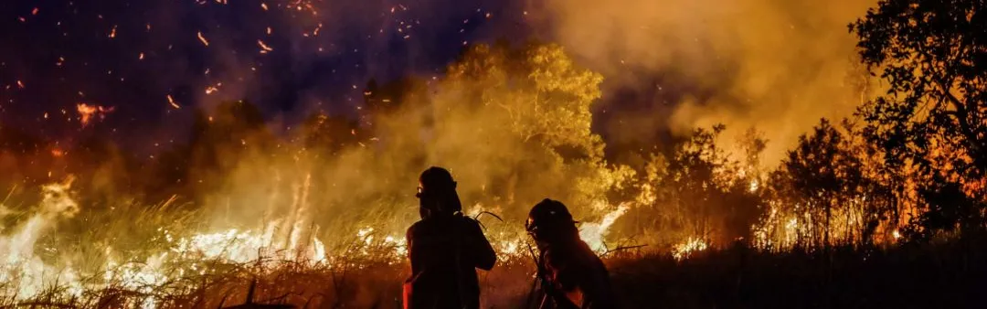 Indonesia forest fire photos