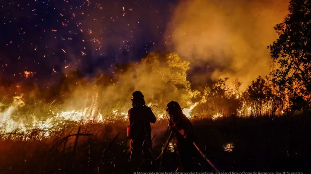 Indonesia forest fire photos