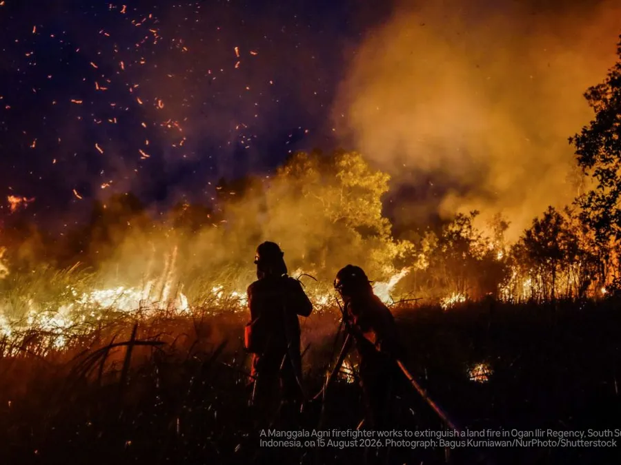 Indonesia forest fire photos