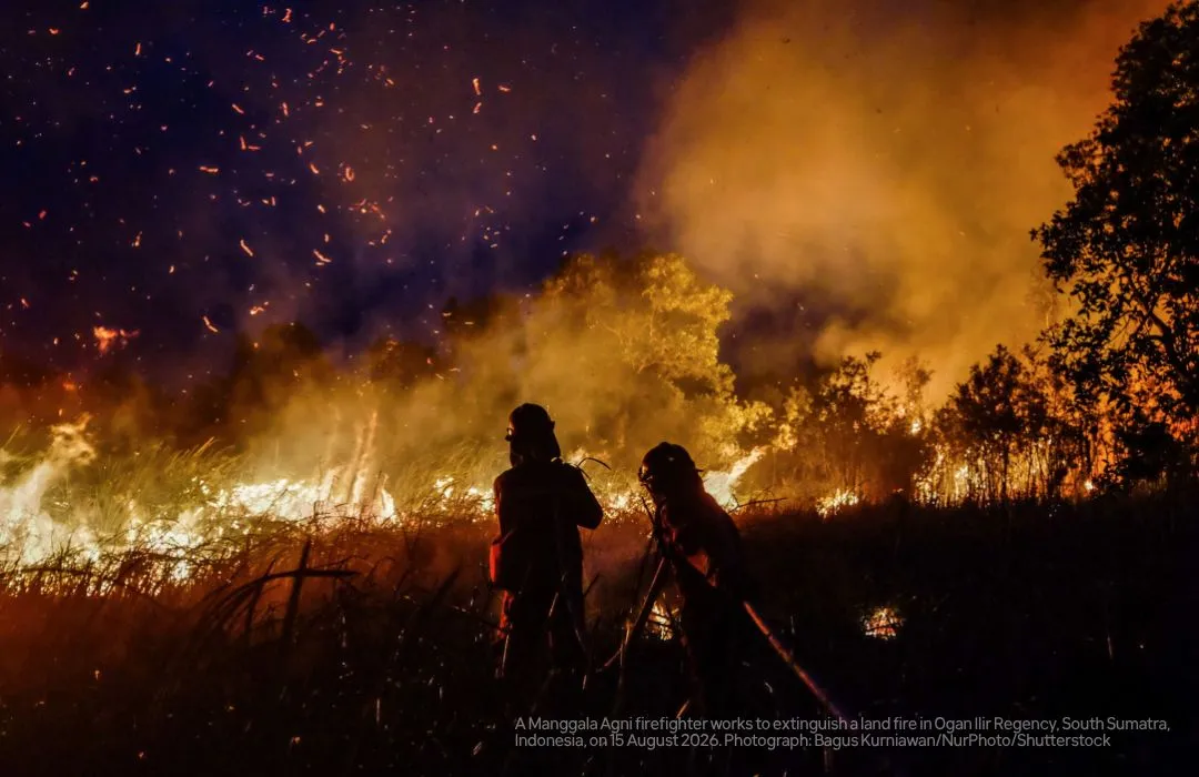 Indonesia forest fire photos