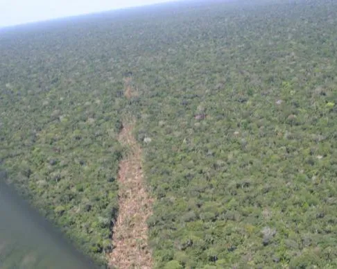 Desmatamento na Amazônia é um dos focos da Comissão Mista de Mudanças Climáticas do Congresso