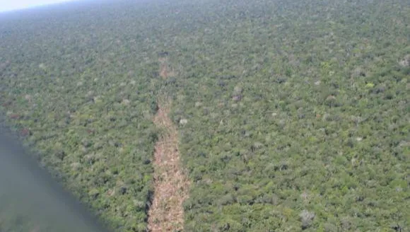 Desmatamento na Amazônia é um dos focos da Comissão Mista de Mudanças Climáticas do Congresso