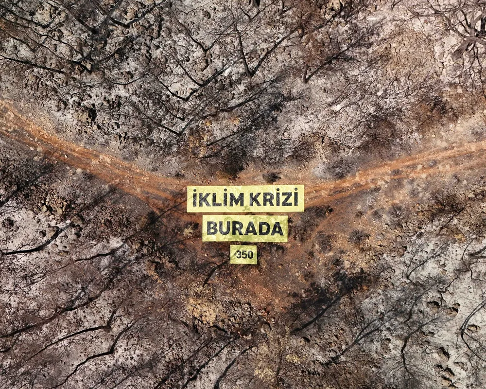 Aerial view of scorched forest with burnt trees and ashen ground. Yellow signs in Turkish read "İKLİM KRİZİ BURADA" (Climate Crisis is Here) marking the devastated landscape after wildfire.