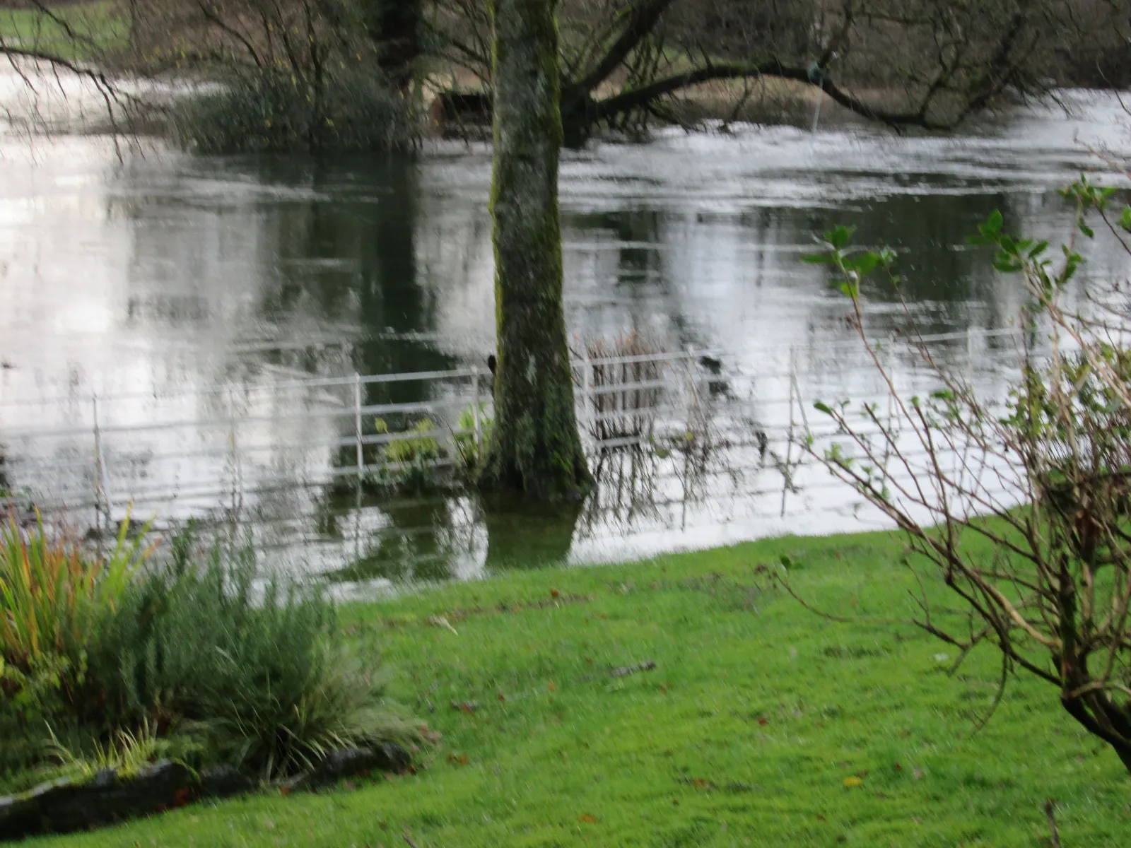 Arthur Kincaid's flooded garden