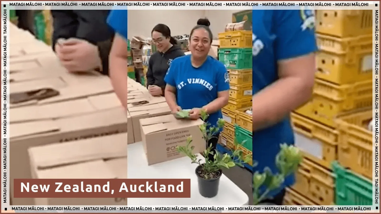 Auckland.jpg