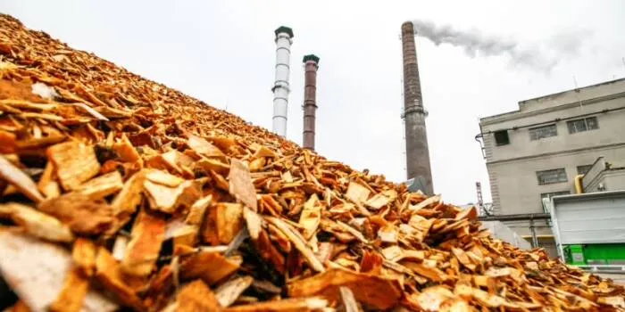Biomass-Power-700x350.jpg