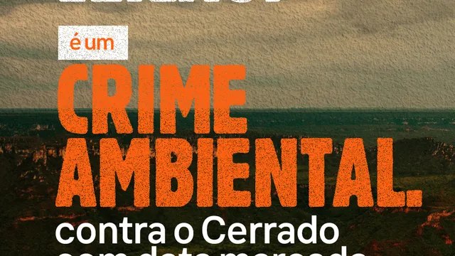 Leilão é crime ambiental