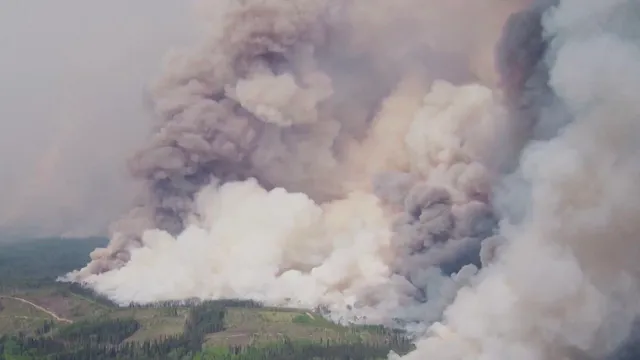 Wildfire smoke