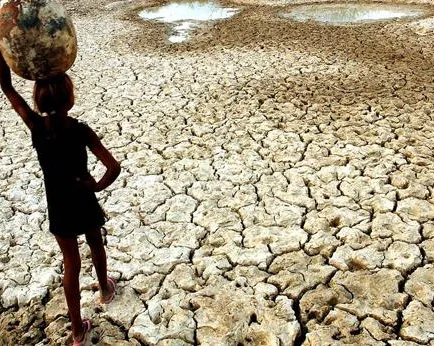 Crise climática