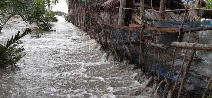 Cyclone-Yaas-leaves-behind-a-trail-of-destruction-in-India-and-Bangladesh.jpg