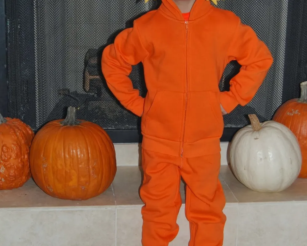 https://pixgood.com/the-lorax-costume.html 