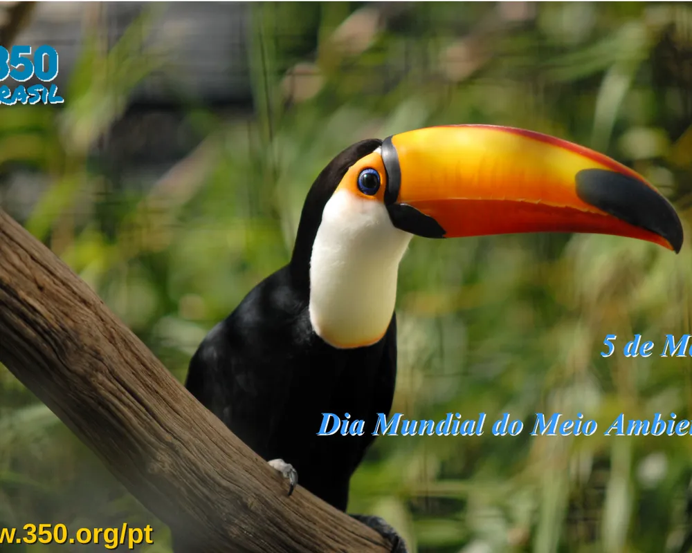 Dia Mundial do Meio Ambiente