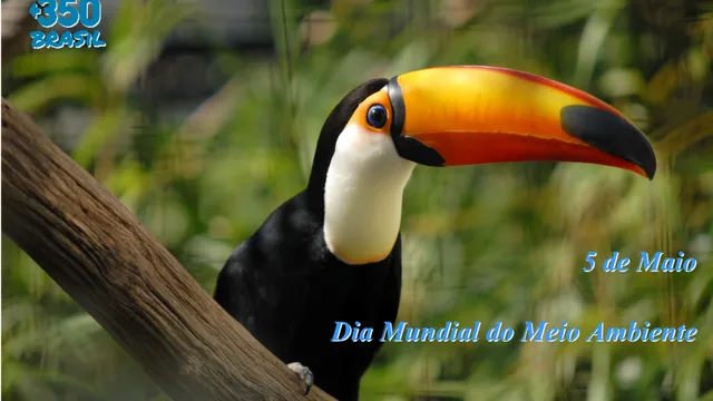 Dia Mundial do Meio Ambiente