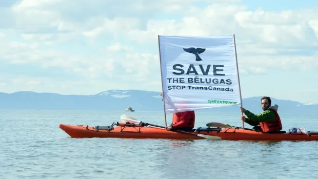 EE-greenpeace.jpg