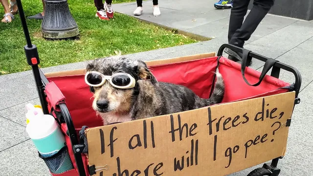 EFetJGdXYAUPMqT.jpg-large.jpeg