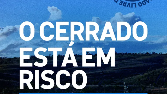 O cerrado está em risco