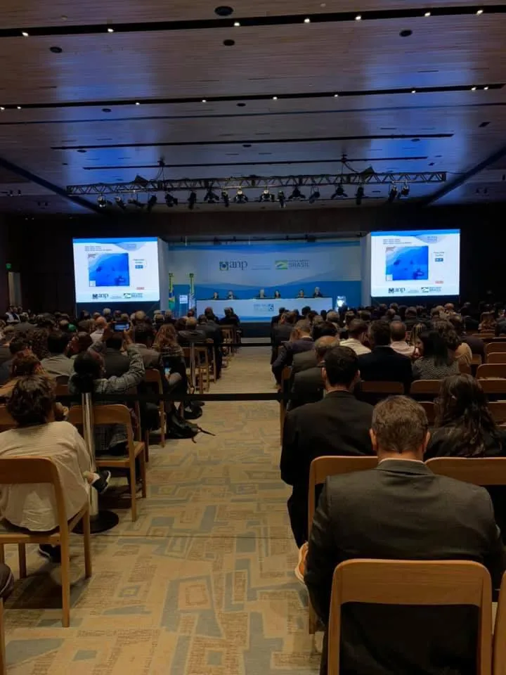 Leilão ANP - 07/11/19