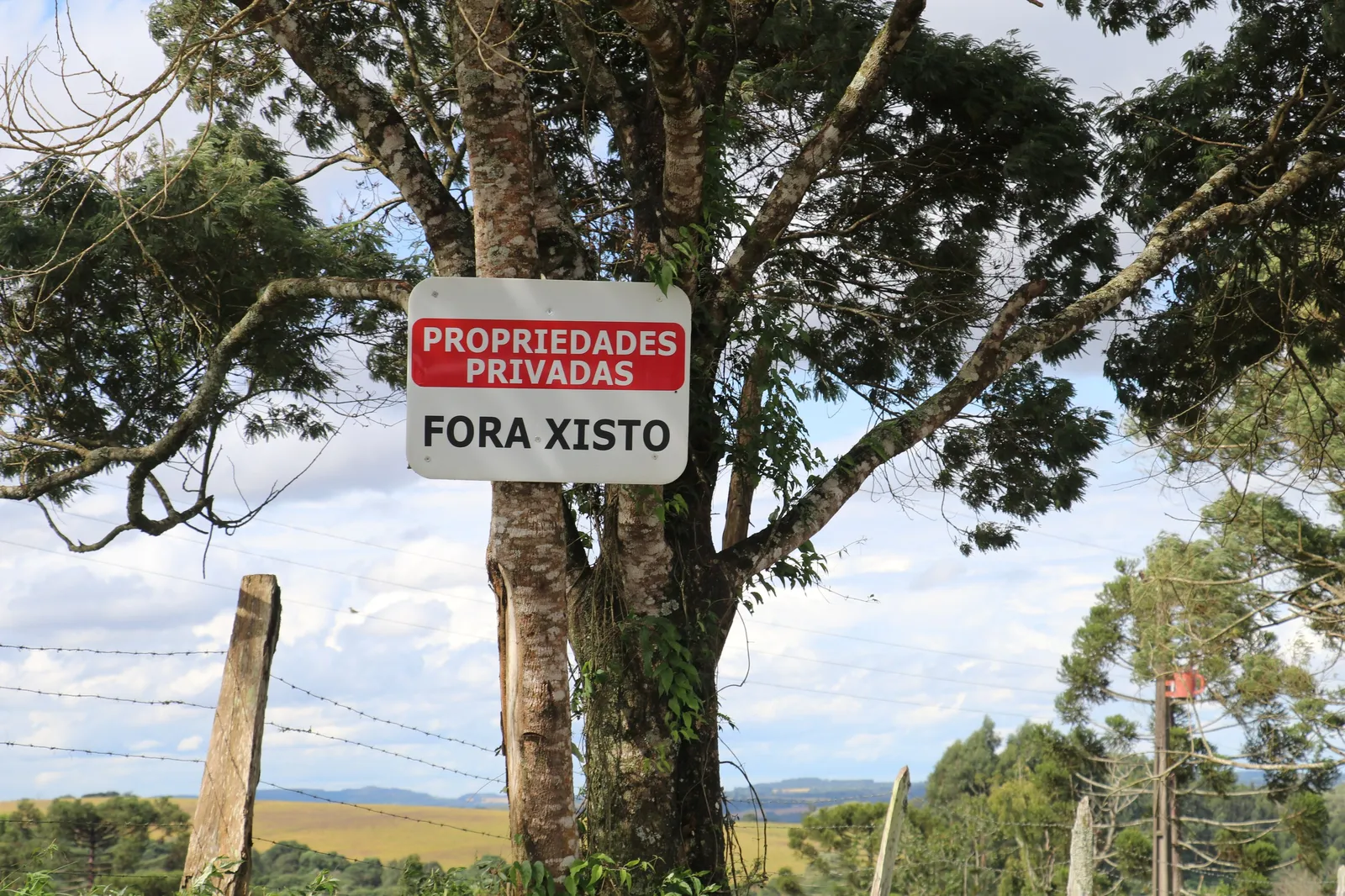 Papanduva Xisto
