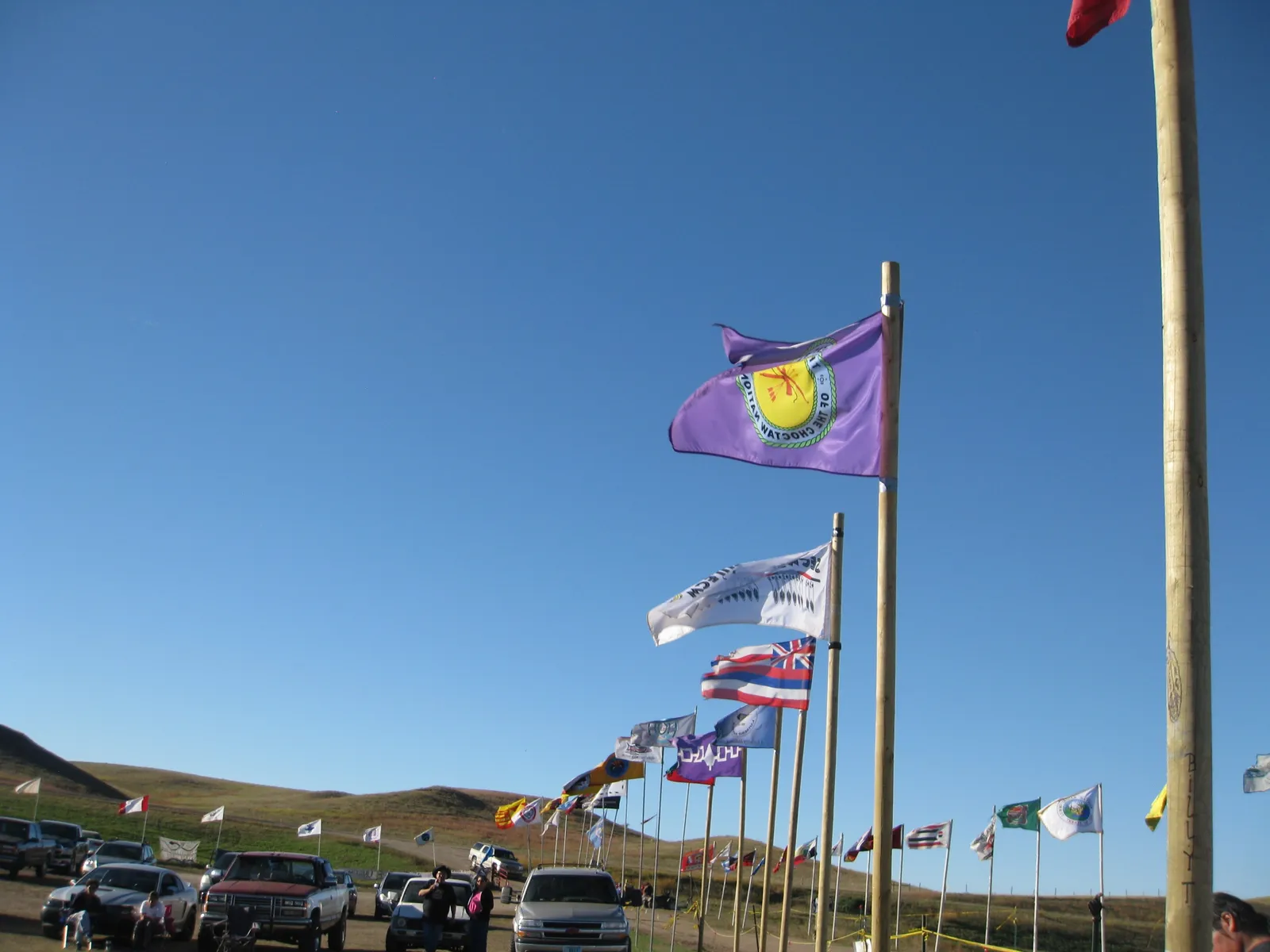 Hundreds of flags representing the tribes that are standing with Standing Rock line the road at camp. Photo: Emily Jovais