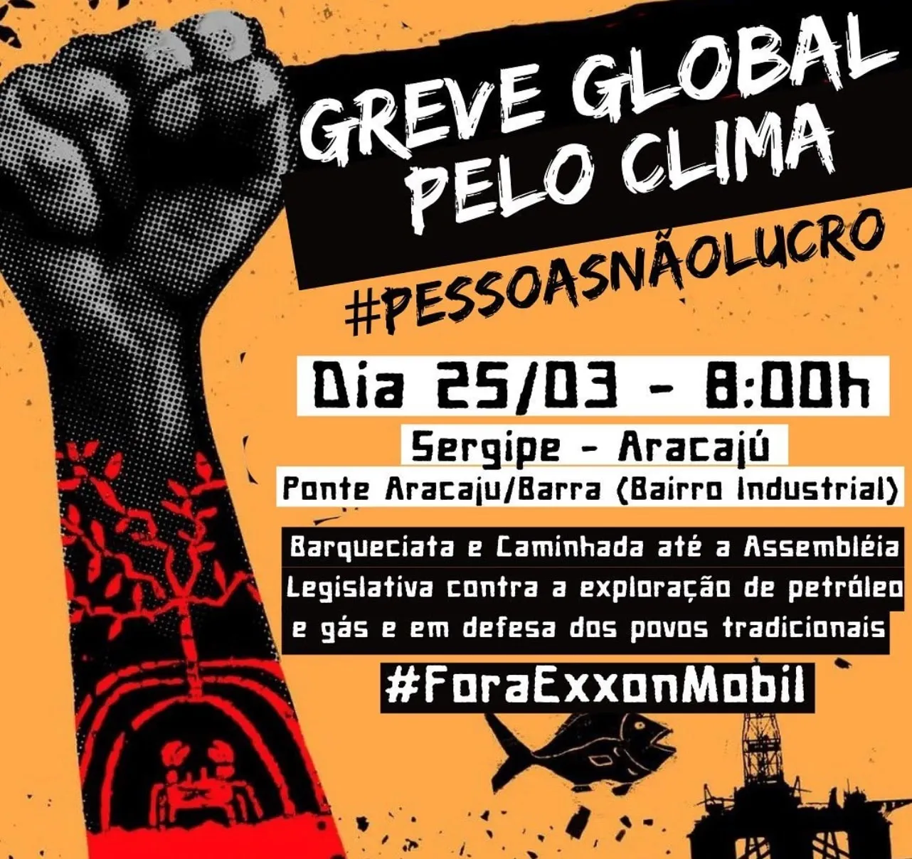 Insta-Greve-Global.jpg
