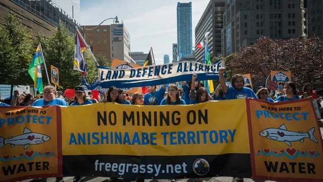 LandAlliance.jpeg