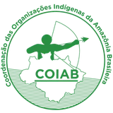 Coordenacao das Organizacoes Indigenas de Amazonia Brasileira