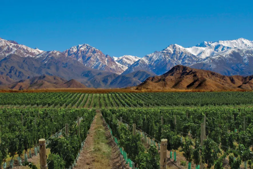 Mendoza_VivaoVinho.png
