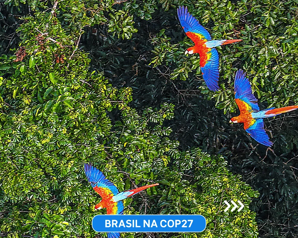 Brasil na COP27