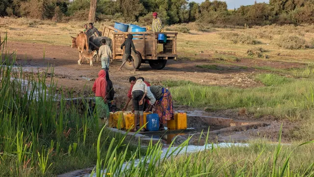 PXL_20260607_044113953-scaled.jpg