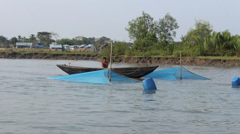 Fisherman in Sundarbans