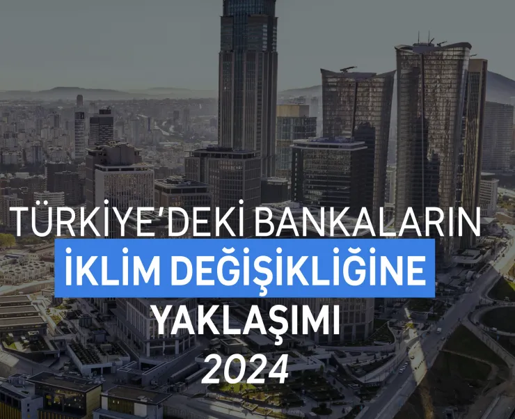 Screenshot-2025-06-06-at-11.06.52.png