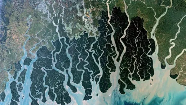 Sundarbans_small.jpg