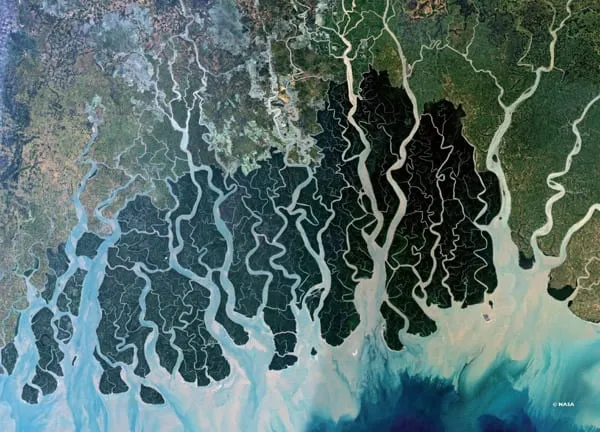 Sundarbans_small.jpg