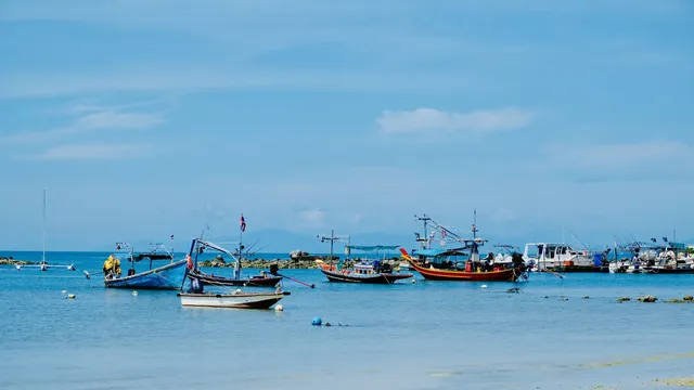 Thailand-back.jpg