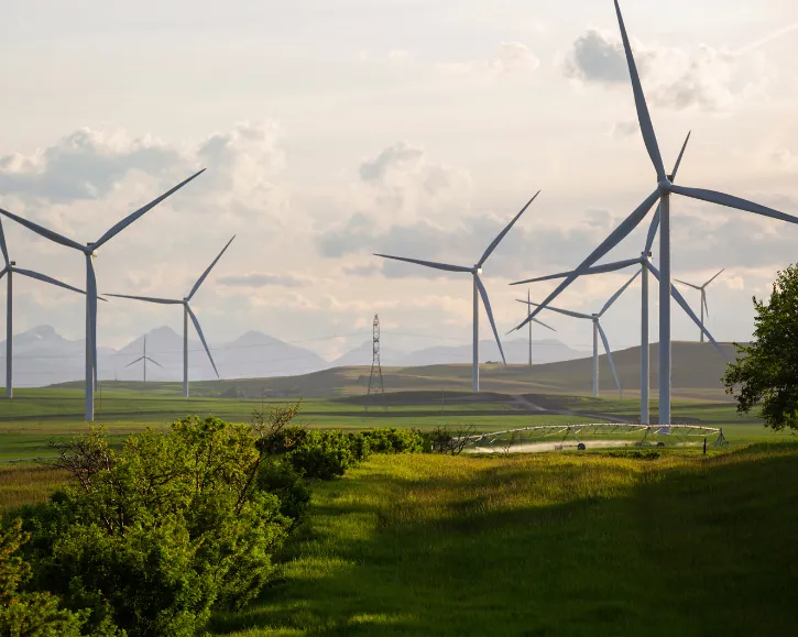The image shows wind turbines and a field of green grass