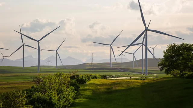 The image shows wind turbines and a field of green grass