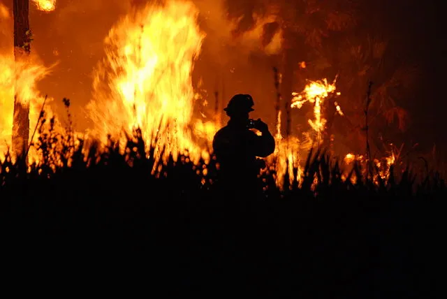 Wildfire_4971832860.jpg