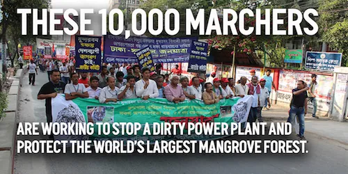 These 10,000 marchers are fighting a massive coal plant in the world's biggest mangrove forest.