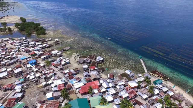aerialshottigtabon1.jpg