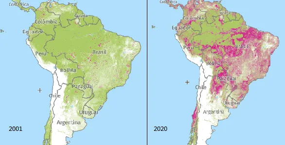 amazonia.png