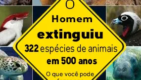 animais-em-extinção-no-brasil-cópia.jpg