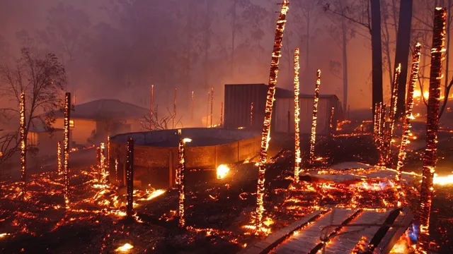 australia-bushfires-climate-change-19.jpg