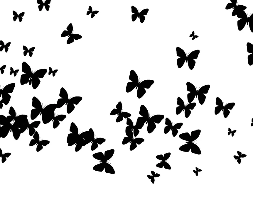 butterfly